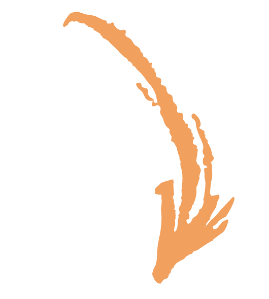 arrow-bottom