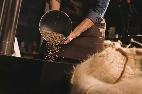Coffee Roasters in Tampa, Florida