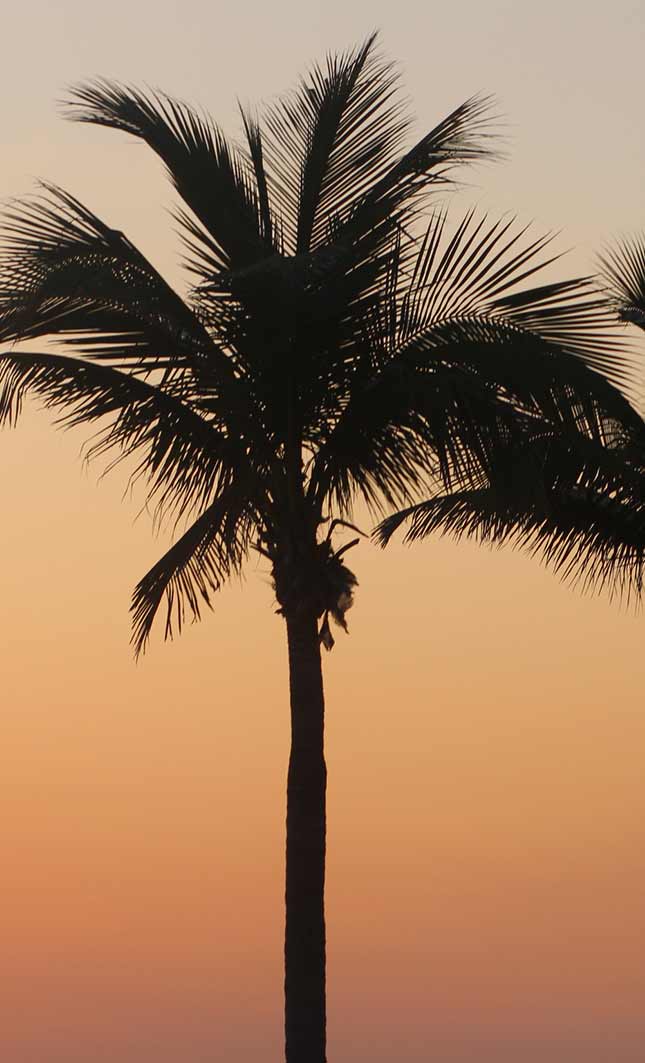 Tampa Bay sunsets